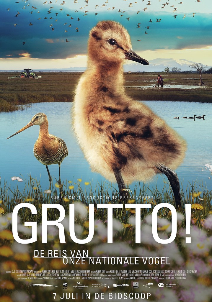 Grutto! De reis van onze nationale vogel