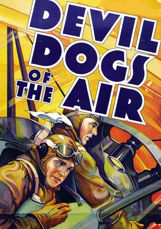 Devil Dogs of the Air
