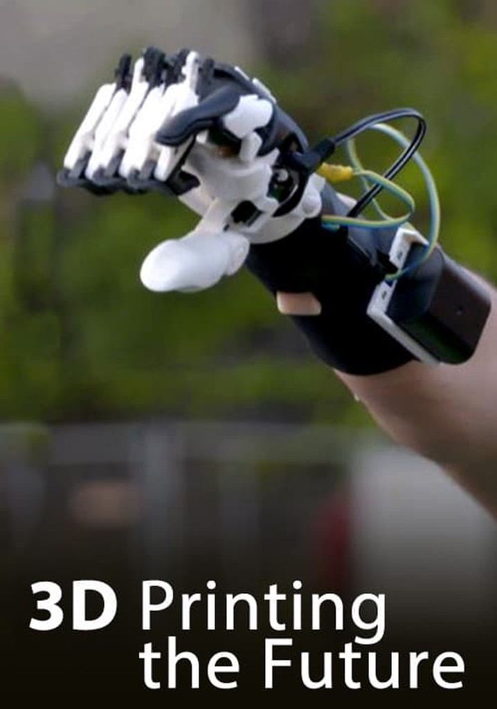 3D - Printing the future