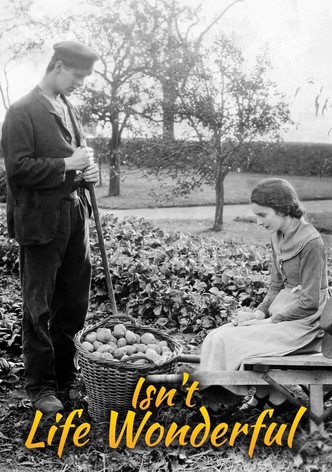 Vida Não é Maravilhosa?