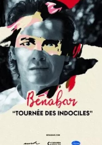 Bénabar - Tournée des indociles