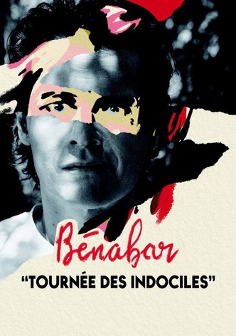 Bénabar - Tournée des indociles