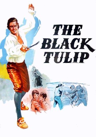 The Black Tulip