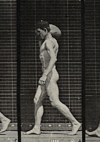 A man bearing load on shoulder