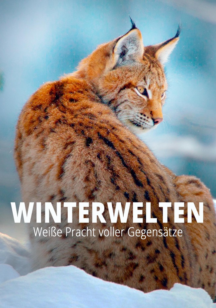 Terra X - Wilde Winterwelten