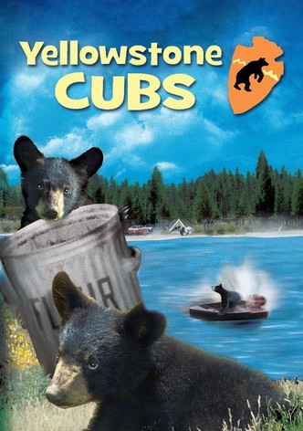 Yellowstone Cubs