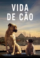 Vida de Cão