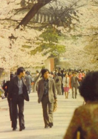 Azaleas of My Hometown