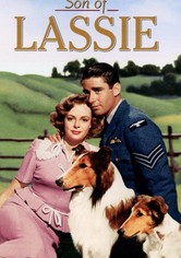Son of Lassie