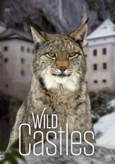 Wild Castles - Season 1