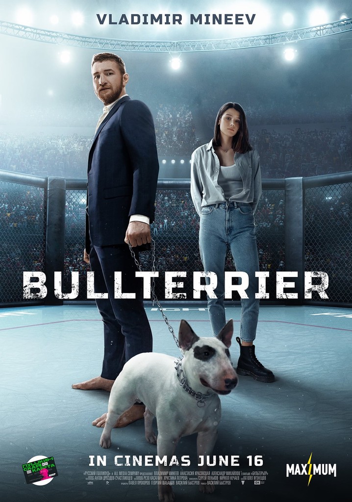 Bullterrier