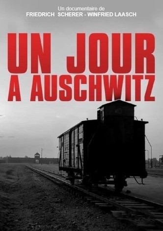 Un jour à Auschwitz