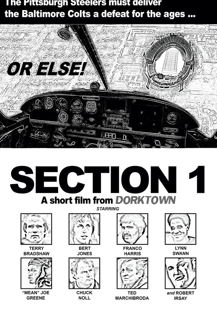 Section 1