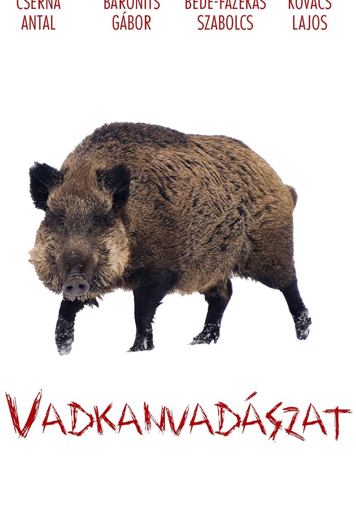 Vadkanvadászat