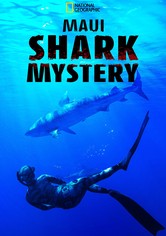 Maui Shark Mystery