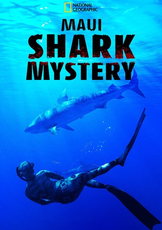 Maui Shark Mystery