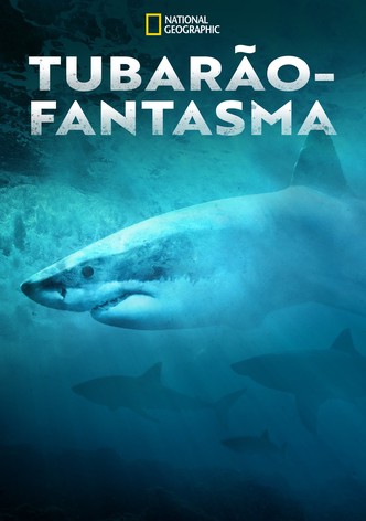 Tubarão-Fantasma