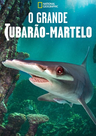 O Grande Tubarão-Martelo