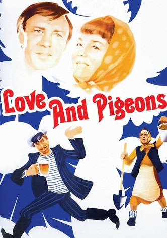 Love and Pigeons