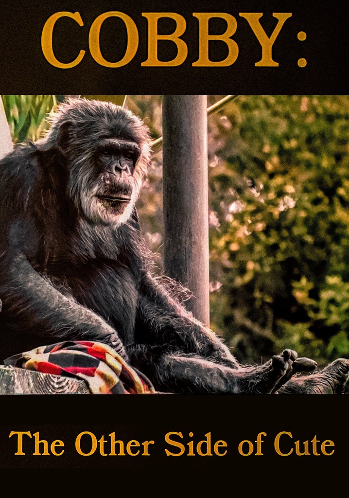 Cobby: The Other Side of Cute