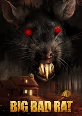 Big Bad Rat