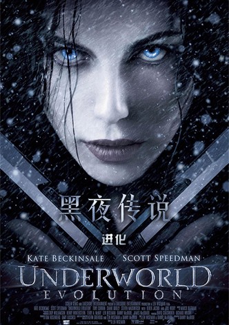 黑夜传说2：进化