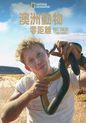 澳洲动物零距离