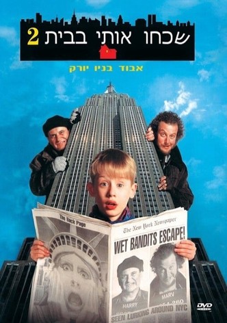 שכחו אותי בבית 2: אבוד בניו יורק