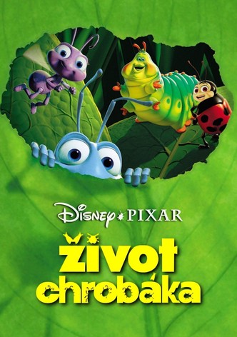 Život chrobáka