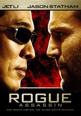 Rogue Assassin