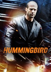 Hummingbird