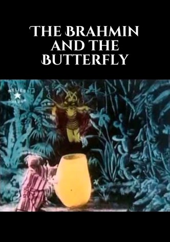 The Brahmin and the Butterfly