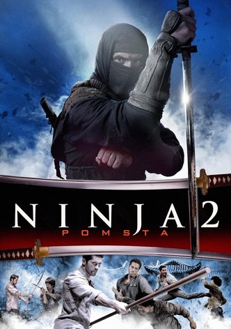 Ninja 2: Pomsta