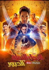 الرجل النمله والدبور