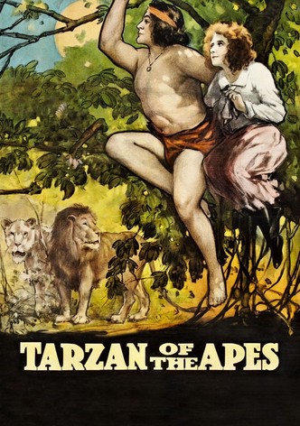 Tarzan chez les singes