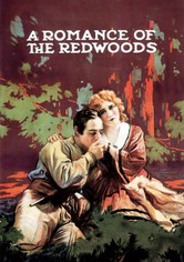 Un romance en los Redwoods