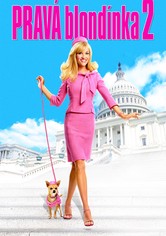Pravá blondínka 2