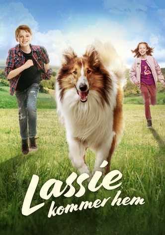 Lassie kommer hem