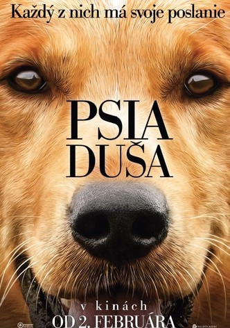 Psia duša