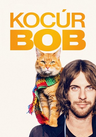 Kocúr Bob