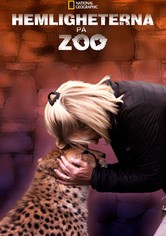 Hemligheterna på zoo