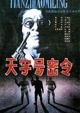 天字号密令