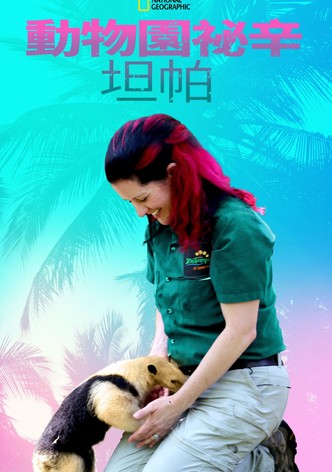 动物园秘辛：坦帕湾