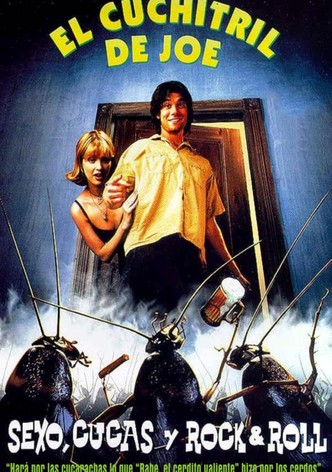 Sexo, bichos y rock'n roll