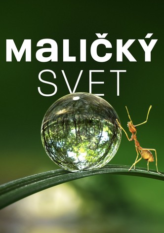 Maličký svet
