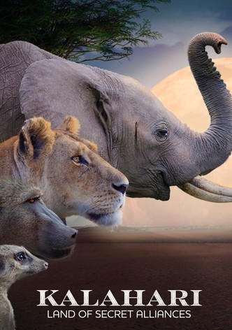 Kalahari: Land of Secret Alliances