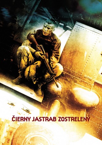 Čierny jastrab zostrelený