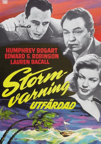 Stormvarning utfärdad