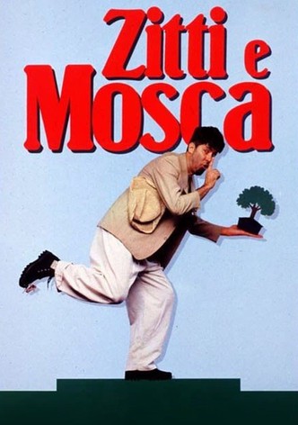 Zitti e mosca