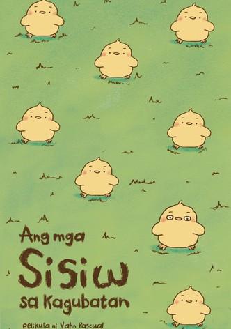 The Chicks in the Forest